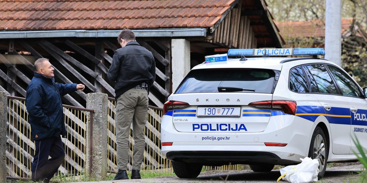 Pavučnjak: Dvije osobe smrtno stradale u požaru drvene kuće